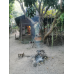 Home Host Tour (Transfer provide from Home Host)